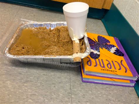 Experiment to demonstrate hydrotropism 1 take a wire mesh and cover it with moist saw dust. Pin by Learning Lab Resources - Melis on Science | Science ...