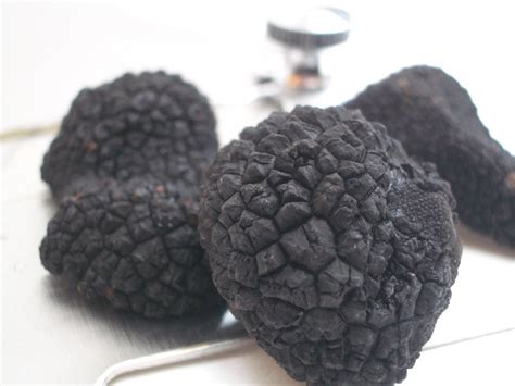 Fresh Truffles Laquila