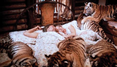 Movies have become the new medium of storytelling, giving viewers the opportunity to experience interesting, hilarious, bizarre and even impossible things from a third person perspective. 5 of the Most Dangerous Movie Sets in Film History
