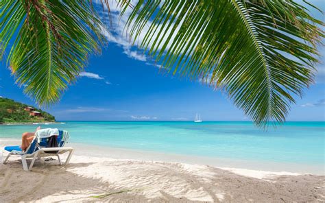 Beach Summer Tropical Sea Nature Landscape Caribbean Palm Trees