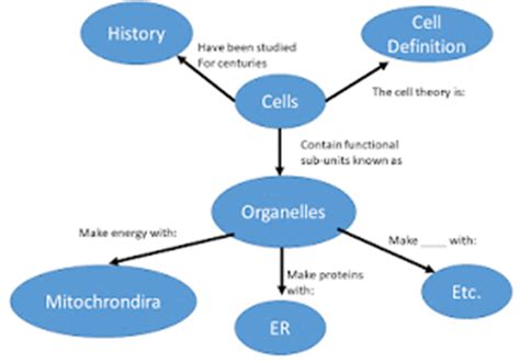 Learning And Memory Course Concept Maps Psychology Today