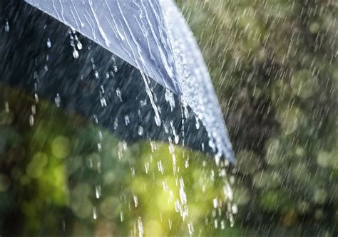 Sunny Spells And Showers This Week Turning Blustery With Heavy Rain