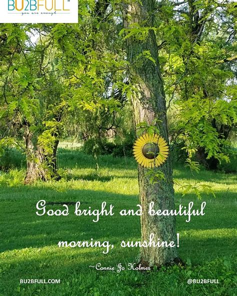 Good Bright And Beautiful Morning Sunshine Wisdom Quotes Life