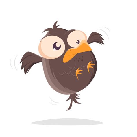 Clip Art Of A Ugly Birds Illustrations Royalty Free Vector Graphics