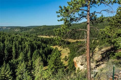 Newcastle (wyoming) — pour les articles homonymes, voir newcastle. 23905 Highway 85, Newcastle, WY 82701 (For Sale MyStateMLS Listing #10448051)