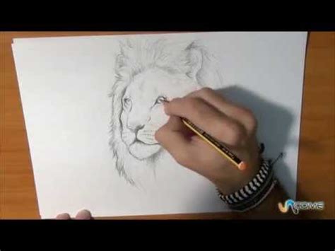 Opinioni su disegni difficili ✅. Come disegnare un leone vero - YouTube
