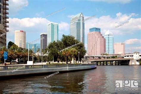 Downtown Tampa Skyline From Davis Islands Stock Photo Picture And