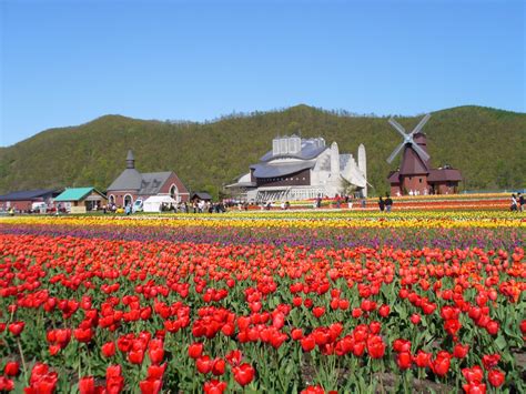 5 Best Flower Fields To Visit In Hokkaido Japan Web Magazine