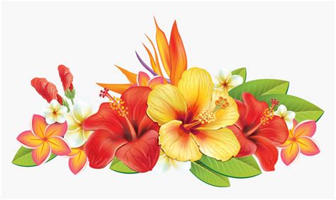 Hawaiian Flower Vector Png, Transparent Png , Transparent Png Image