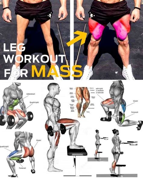 Combine This Workout With The Ultimate Bulking Stack For Quick Muscle Growth Leg Workouts For Mass