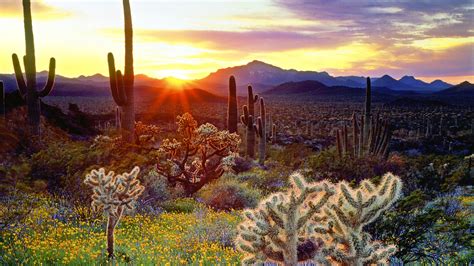 Wallpaper American Scenery The Mountain Is Covered With Cactus