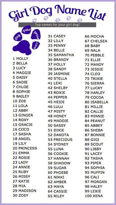 Top 100 Girl Dog Names List Dog Names Girl Dog Names Dogs Names List