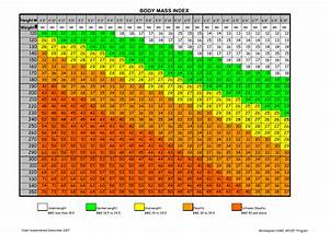 Body Mass Index Chart Minneapolis Vamc Move Program Download