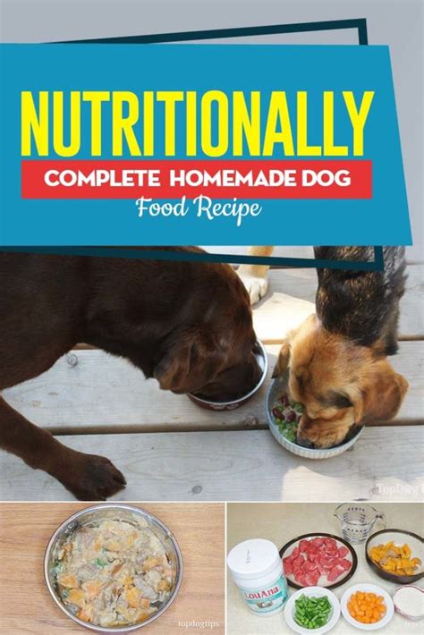 Recipe Nutritionally Complete Homemade Dog Food Meal