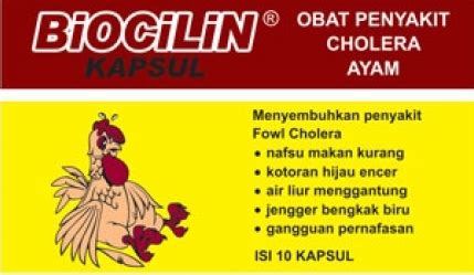 Pada penyakit cacingan ayam aduan gejala ini sering terjadi pada ayam aduan yang di saat lesuh dan nafsu makannya berkurang. Obat Ayam - ayampelung