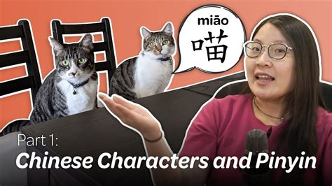 Mandarin Chinese Basics With Cats Youtube