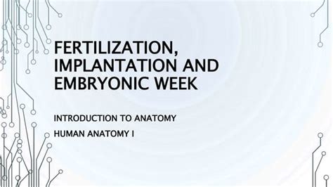 Anatomy Fertilization Implantation And Embryonic Weekpptx
