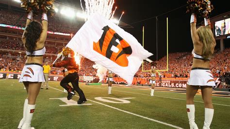 Sarah Jones Former Cincinnati Bengals Cheerleader Pleads Guilty To