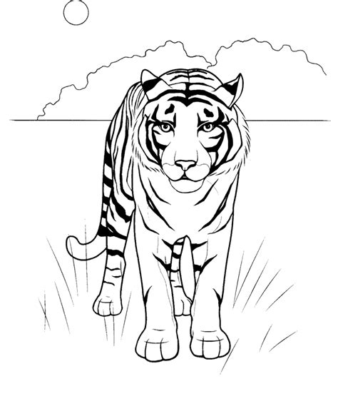 Ausmalbilder Malvorlagen Tiger Kostenlos Zum Ausdrucken M Rchen