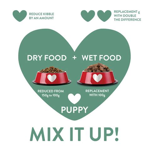 Feeding Guide For Your Puppy Lovejoys Pet Food