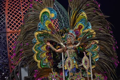 Las Cinco Cosas Que Debes Saber Sobre El Carnaval De Río Grupo Milenio