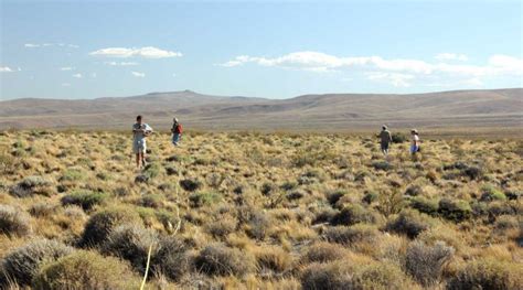A tropical rainforest climate or equatorial climate is a tropical climate usually found within 10 to 15 degrees latitude of the equator, and has at least 60 millimetres (2.4 in). Biome - Grasslands