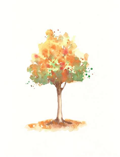 Watercolor Autumn Tree Stock Illustration Illustration Of Fine 81840575