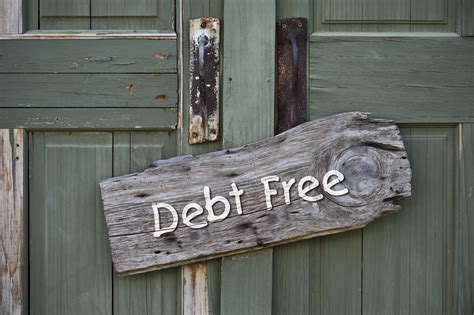 Top 10 Jungle Explains Debt Relief Your 5 Choices In The Financial Jungle Newswire