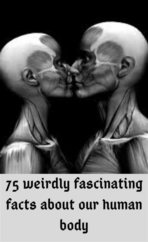 75 Weird And Freaky Facts About The Human Body In 2020 Fun Facts