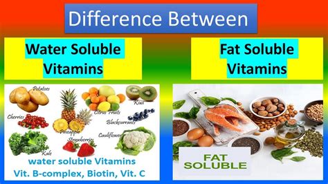 Difference Between Water Soluble Vitamins And Fat Soluble Vitamins