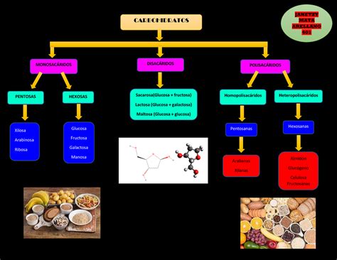 MAPA Carbohidratos Lipidos Y Proteinas CARBOHIDRATOS MONOSACÁRIDOS