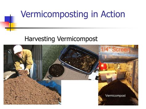 Ppt Worm Composting Powerpoint Presentation Free Download Id6527682