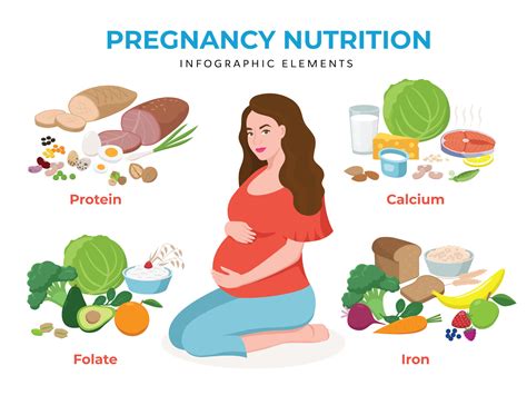 How Does A Mothers Nutrition Affect The Foetus Motherhood Hospitals