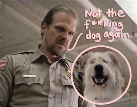 Omg David Harbour Hated The Stranger Things Dog So Much He Wanted