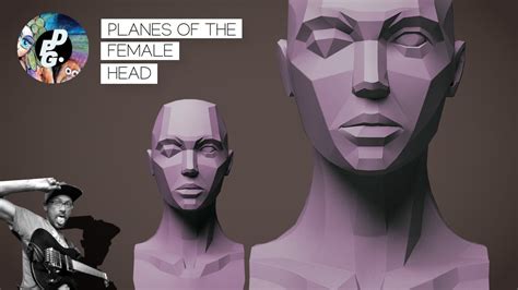 Planes Of The Human Head The Female Face How To Draw The Human Head