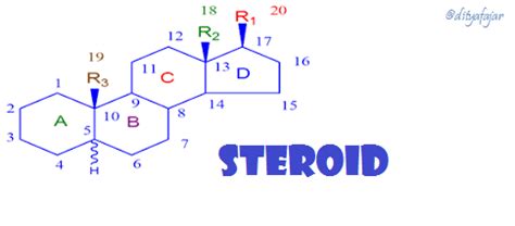 Steroidplotter allows you to easily graph your next cycle. Chemistry Education: Keanekaragaman Struktur Kimia Steroid