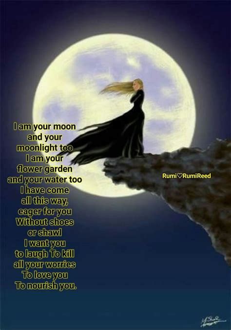 Give me pablo neruda, picnic beneath a full moon & iridescent stars, black olives, cherries, dark things, canoe on a river. I'm your moon and your moonlight too | Rumi poem, Rumi quotes, Rumi love quotes