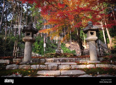 Kyoto Red Leaf Season Stock Photo Alamy