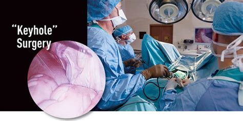 “keyhole” Surgery College Of Veterinary Medicine At Msu