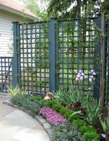 Ideally planted in groups or rows, the oleander is a great tree for our customers who are seeking privacy hedges, area screens, and property border because of the trees ability to keep a thick coat of dark green leaves throughout the year. Privacy fence - could be left open, or allow climbing ...