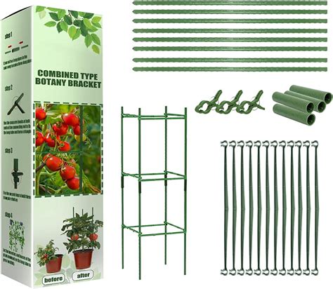 Les Cages à Plantes Prennent En Charge Les Piquets De Plantes De Tomate