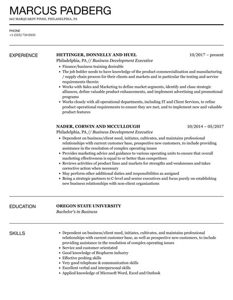 Business Development Executive Resume Samples Velvet Jobs