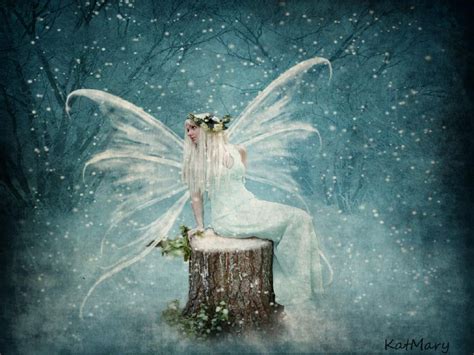 Fairy Pictures Winter Fairy Fairy Art