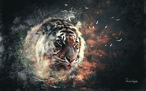 Wallpaper Digital Art Animals Abstract Tiger Big Cats Whiskers