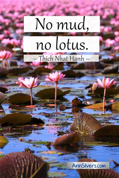 We did not find results for: Lotus Flower Meaning and Symbolism Quotes with Graphics | Lotus flower quote, Flower quotes ...
