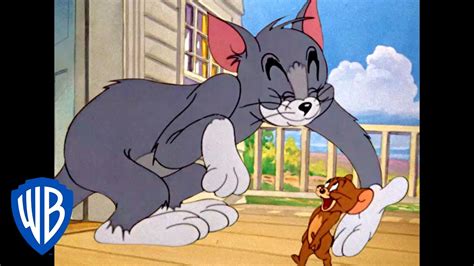 Chloe moretz, colin jost, camilla arfwedson and others. Tom & Jerry em Português | Brasil | Meu Amigão! | WB Kids ...