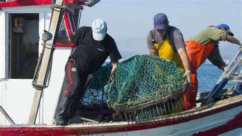 Spanish Fishermen Say Gibraltar Reef Ruins Catch Fox News