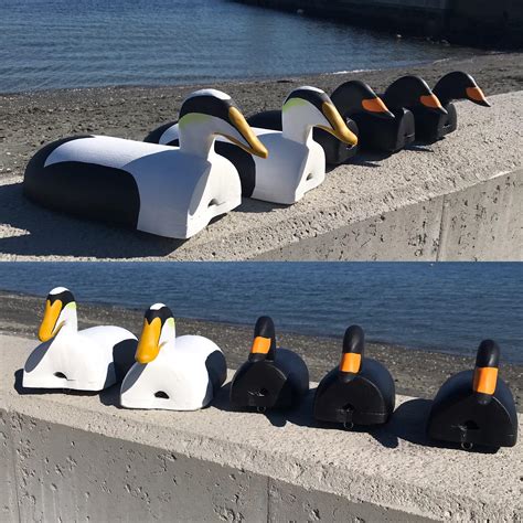 Rig of sea duck decoys from lobster buoys ready to head to ...