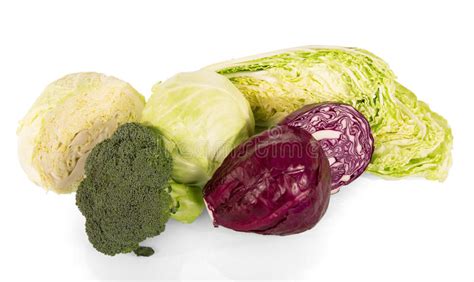 We did not find results for: Vari Tipi Di Cavoli: Broccoli, Cavolo Rosso E Bianco Di ...