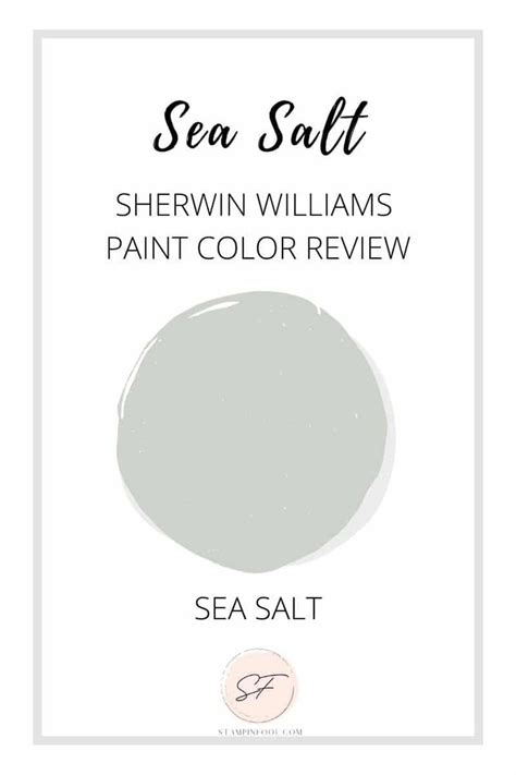 Sherwin Williams Sea Salt Paint Color Review Sw Sea Salt